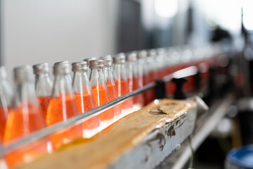 Product of Basil seed with fruit on the conveyor belt in the beverage factory. Bottling line for processing and bottling Basil seed with fruit into bottles. Food, health and Beverage industry