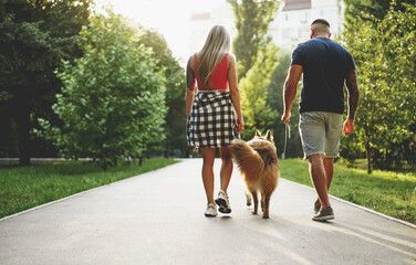 Young beautiful couple walking the dog in the summer park