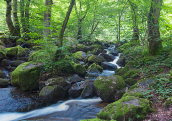 Obraz premium Cascade de Brisecou en Bourgogne à Autun en été