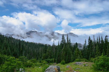 Glacier Meadows 