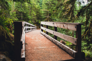 Hoh River Trail Bridge