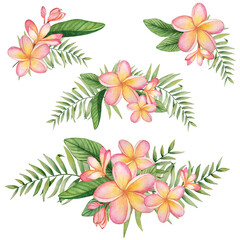 Set of compositions from flowers and leaves. Watercolor plumeria and palm tree on white background