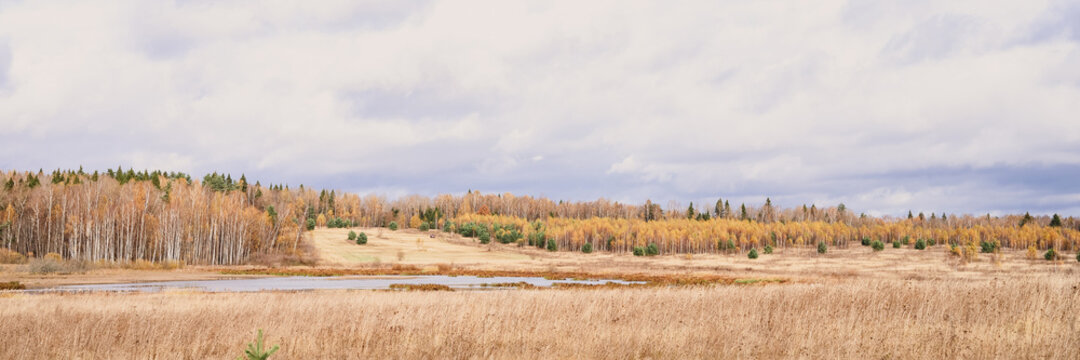 Autumn Plain Landscape. Fall Low Sky With Clouds, Trees With Yellow Falling Leaves, A Pond And A Field With Withered Grass. Banner