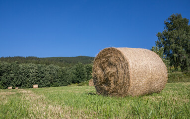 bale of straw on a mountain meadow
