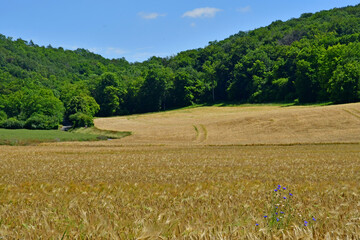 Bouafles; France - june 24 2021 : picturesque village