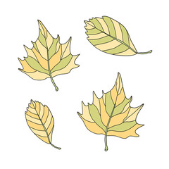 llustraItion with autumn leaves. Vector set for design of autumn postcard, card, invitation, poster, advertisement.