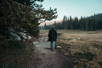 Obraz premium walking in the park