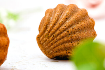 Selective focus of madeleine cakes with a distinctive shell-like shape on white background for bakery, food and eating concept