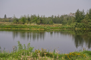 Pylypow Wetlands on a Hot Smoky Day
