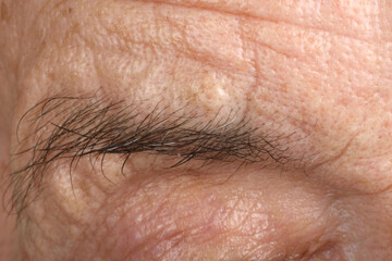 eyebrow of senior woman