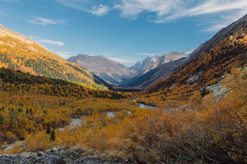 Valley with mountains and autumnal forest. Mountain landscape with river