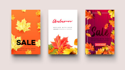Fototapeta premium Autumn sale. Colorful vector flyer.