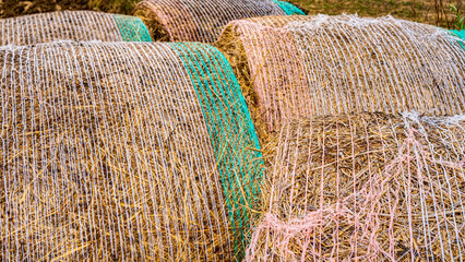 detail of hay bales in the countryside. rolled straw