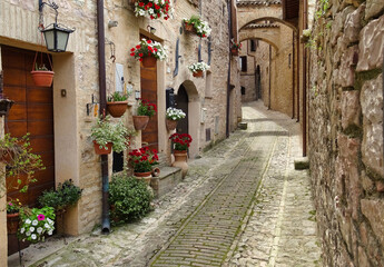 Fototapeta na wymiar narrow alley in the city of flowers (Spello) in Umbria
