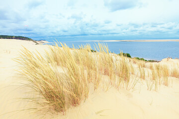 Sandy coast of Atlantic Ocean . Banc d'Arguin island in France 
