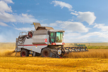 Agricultural machine harvester for harvesting ripe grain crops. Rotary combine working in the wheat field at the end of summer. Farming agricultural background.