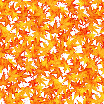 秋の背景images Browse 218 Stock Photos Vectors And Video Adobe Stock