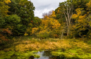 Obraz premium Scenes of foliage in fall