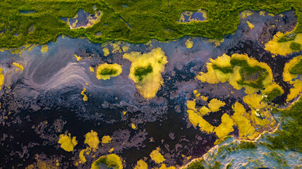 Aerial view of colorful marshy wetlands