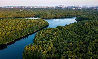 Naklejka premium Scenes of foliage in fall
