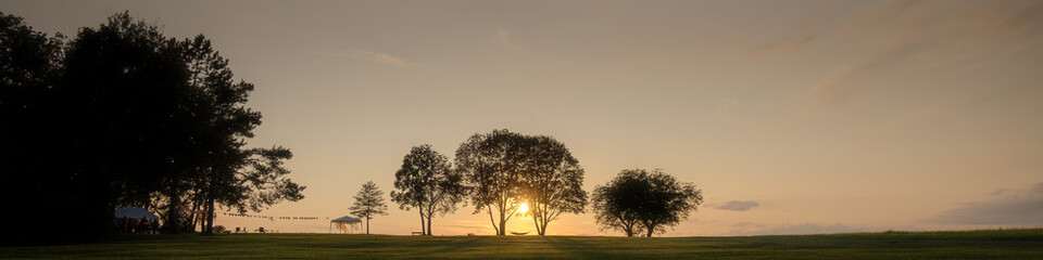 Fototapeta premium sunset in the field