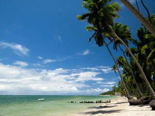 Obraz premium beach; ocean; 