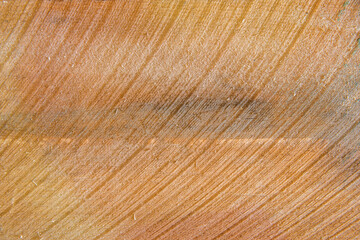 Detail of the fiber of a wood sheet in a carpentry workshop. wood texture