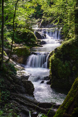 Fototapeta na wymiar Ein Wasserfall mitten im Wald. In mehreren Stufen fließt das Wasser in einen Fluss.