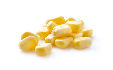 Sweet corn kernel in closeup
