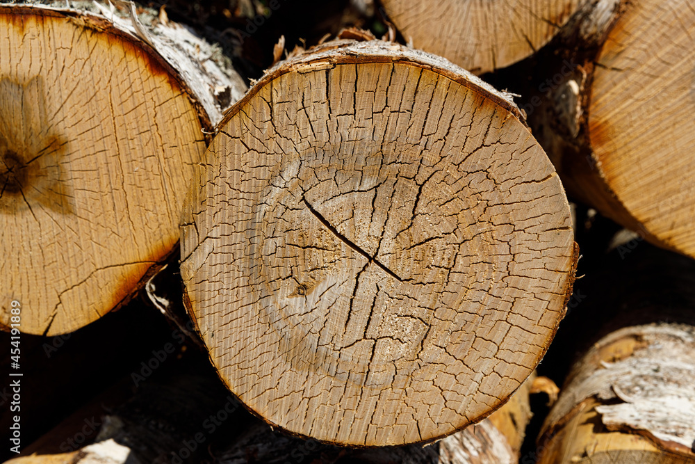 Poster birch logs lie stacked in nature