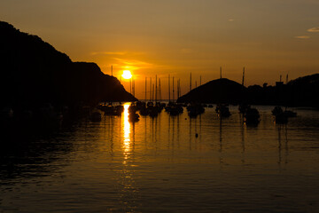 Devon sunset harbour