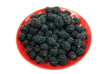 Ripe and juicy Blackberry in a red plate on a green white background. top view