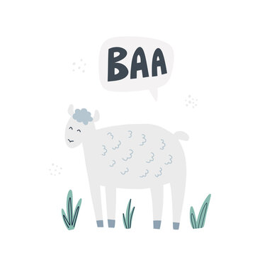 Sheep says baa. Hand drawn vector illustration. Cute animal with lettering