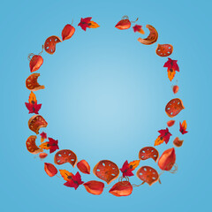 Autumn leaves and sliced dried pumpkin arranged in a circle, frame.