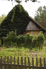 Chata drewniana rustykalna na wsi latem - obrazy, fototapety, plakaty