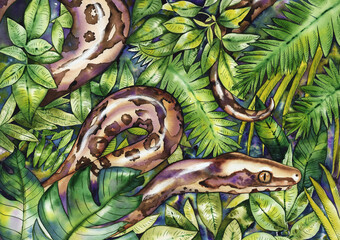 Watercolor illustration with tropical leaves and snake