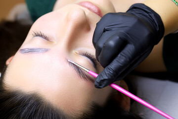the procedure for long-term eyebrow styling is close-up, the master applies the composition for...