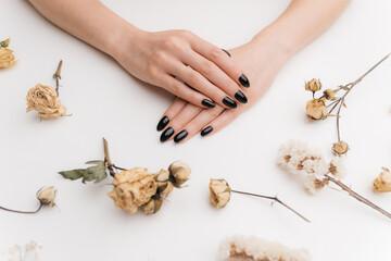 Young female hands with black color manicure among beautiful dry flowers.