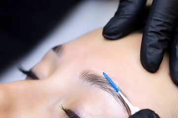 close-up of the master's hands holding a micro brush that combs the eyebrows and models after the...