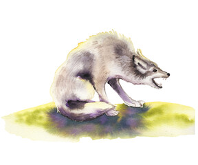Obraz premium Watercolor wolf roaring illustration on white background