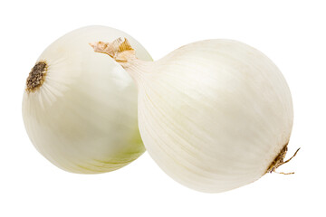 Two white onions isolated on white background  with clipping path