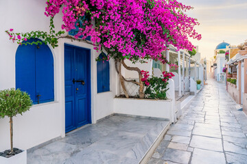 View of Oia street in the mornong - obrazy, fototapety, plakaty