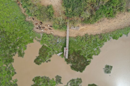 Ci&eacute;naga Las Macanas que sirve de refugio y parada para una gran cantidad de aves migratorias que pasan. Panam&aacute;, El Rinc&oacute;n de Santa Mar&iacute;a en la provincia de Herrera