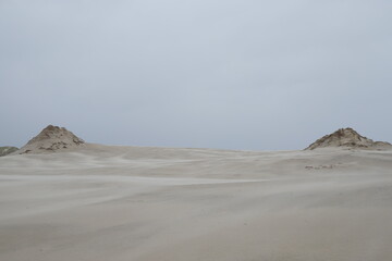 Wydmy w Łebie Polska