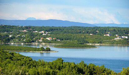 Fototapeta na wymiar Biodiversity and ecological habitat of plant and animal species in Pomer on the Croatian peninsula Istria