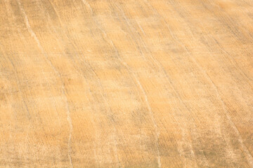 grano