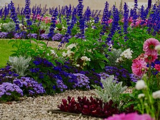 polne kwiaty, rośliny, kwiaty, kolorowe kwiaty © Marcin