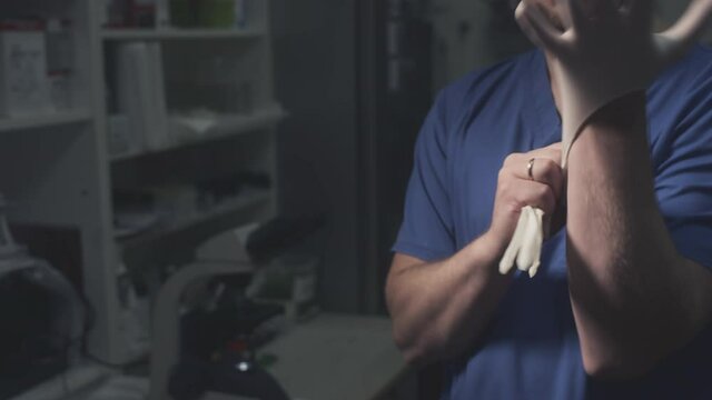 A man doctor scientist puts on rubber white protective gloves. Scientific research in a laboratory or hospital office. Preparing for a medical procedure. Clean hands wearing rubber or latex gloves