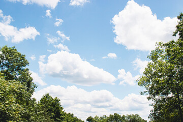 cloudscape background framed by trees