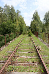 rusty rails of abandoned railway on the old bridge surrounded by forest